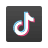 Tiktok icon